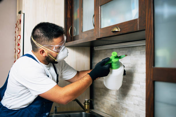 Wildlife Control Services in Lavonia, GA