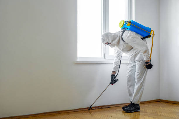 Best Wasp Removal Services  in Lavonia, GA