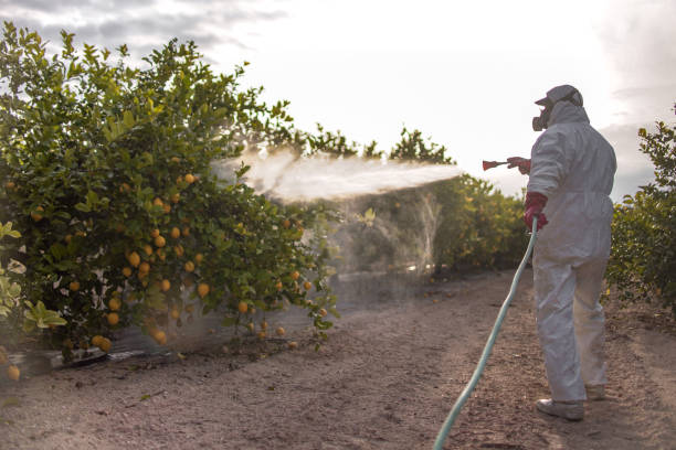 Best Best Pest Control Companies  in Lavonia, GA