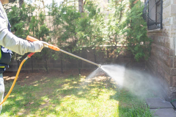 Best Best Pest Control Companies  in Lavonia, GA