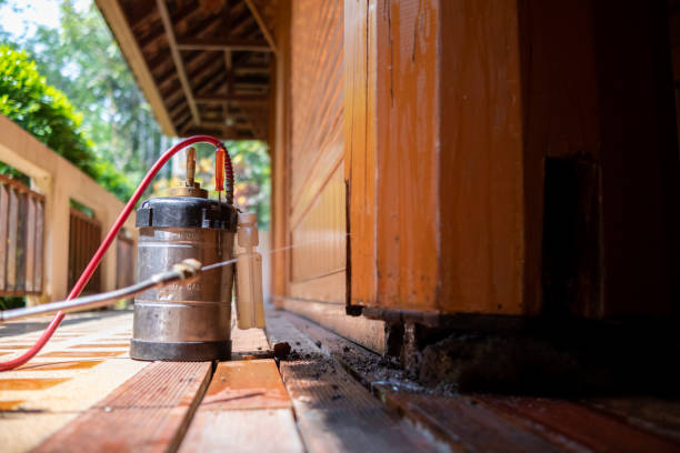 Best Mosquito Control Services  in Lavonia, GA