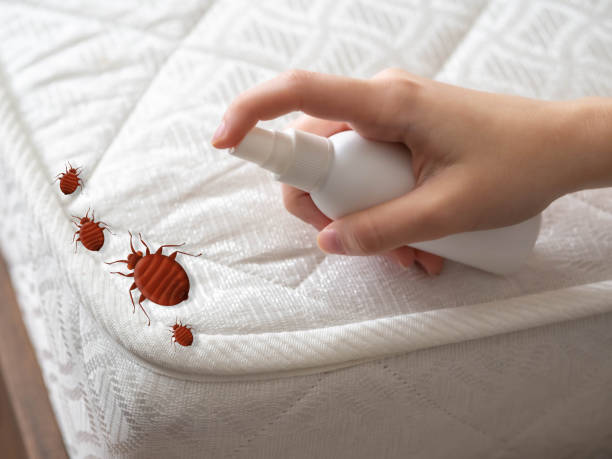 Best Affordable Pest Control Services  in Lavonia, GA