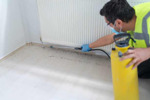 Best Bed Bug Extermination  in Lavonia, GA