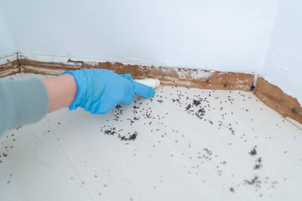 Best Pest Removal Services  in Lavonia, GA
