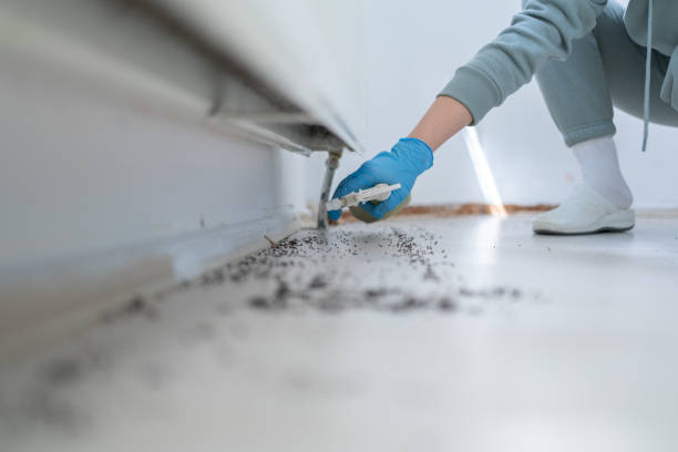 Best Best Pest Control Companies  in Lavonia, GA